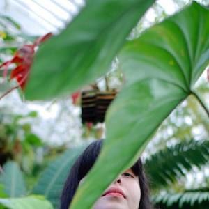 Meet your Posher, Maya